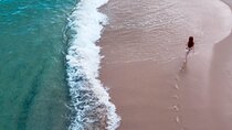 Beach and photography