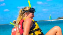 Speed Through Cancun: Explore Mangroves, Reefs & MUSA in One Tour