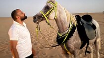 Best Experiences: Siwa Oasis Tour All Inclusive 3 Days from Cairo
