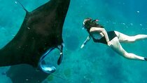 Private All Inclusive Nusa Penida Snorkeling and Tour