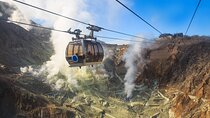 Tokyo: Hakone Fuji Day Tour w/ Cruise, Cable Car, Volcano