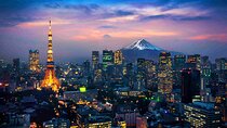 Tokyo Made Easy | Private Chauffeur Day Adventure | Car and Guide