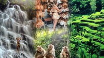 Full Day Ubud Tour Waterfall Monkey Forest Rice Terrace