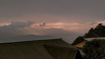 Darjeeling Forests on Foot