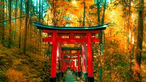 Crowd-Free Kyoto: Fushimi Inari, Nijo Castle & Kinkaku-ji