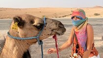 Camel Ride with Moroccan Dinner Experience