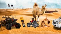 Doha: Half Day Desert Safari with Camel Ride and Inland Sea Tour