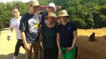 Private Arashiyama Tenryuji Temple Bamboo Grove and Monkeys Tour
