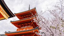Full Day at the Top UNESCO Sites in Kyoto 360