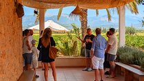 Mallorca Wine Tour Taste Local Wines in Santa Maria