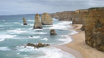 Luxury Great Ocean Road Tour Max 11 with Pickup Service