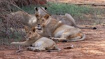  Explore Nairobi Private 5-Day Adventure