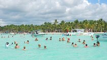 Saona Island Full Day Adventure and Lunch