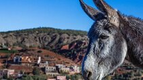 Atlas Mountains Day Trip: Imlil Valley Waterfalls & Berber Lunch