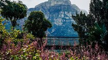 Kirstenbosch Botanical Garden and Constantia Wine Valley Tour