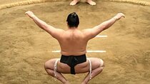 Shinjuku Sumo Show with Drinks and Photo