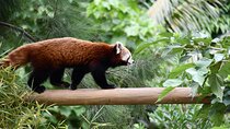 Barcelona Zoo Entrance Ticket