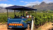 From Cape Town: Stellenbosch Wine Tractor Tour with Vineyard Hops