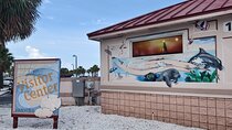 Orlando to Clearwater Beach Small Group Day Tour w/Upgrade Option