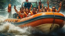 Free One-Way Shuttle to Iguassu Falls and Macuco Safari