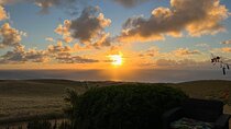 Celebrate Your Group with a Very Private Sunset Cigar Experience