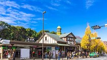 Meiji Shrine & Harajuku Walking Tour 　Tradition Meets Pop Culture