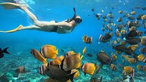 Bali Snorkeling Blue Lagoon 2 spot with Lunch & Transport