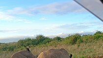  Half Day Nairobi National Park Guided Tour From Nairobi