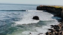 San Francisco to Santa Cruz Day Trip: Redwoods and Beach Fun