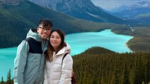 Lake Louise, Moraine Lake, Peyto Lake, Crowfoot, Johnston Canyon