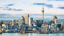 Private Auckland Shore Excursion: Half-Day City Highlights 