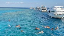 Royal VIP Dolphin House Snorkeling Sea Trip With Lunch - El Gouna