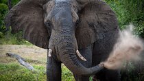 Explore 2dys Chobe Day Trip + Victoria falls Tour 