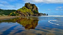 Private Tour of West Auckland Piha Beach and Waitakere Ranges