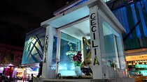 Garibaldi Nights Experience
