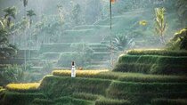 Ubud All-Inclusive Private Day Tour
