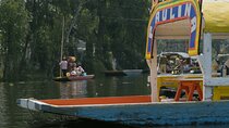 Xochimilco, Coyoacán & Ciudad Universitaria Tour