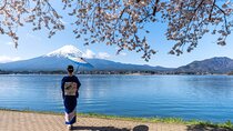 Mt. Fuji Oshino Hakkai and Gotemba Outlets Tour 