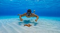 Cozumel: Snorkel at El Cielo, Colombia Reef & Palancar Reef