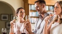 Cape Winelands and Cheetah Encounter Full Day Tour