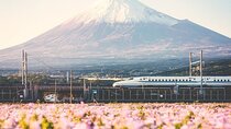 Tokyo to Mount Fuji Private Guided Experiences 