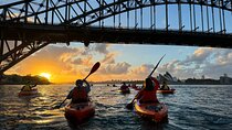 Sunrise Paddle Session on Syndey Harbour 
