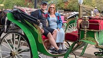  Marrakech: Private Horse carriages Experience & hotel transfer 