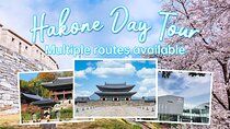 Lake Ashi Hakone Owakudani Kowakien with daily chauffeur