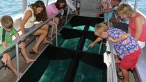 1-Hour Glass Boat Ride & Parasailing W/Transfer –Sharm El Sheikh