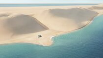 Doha: Family Desert Safari with Camel and Dune Ride 