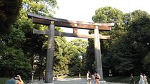 Meiji Shrine Visit with Harajuku Street Food or Sweets Buffet