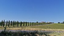 Assisi and Spoleto Private Tour from Rome