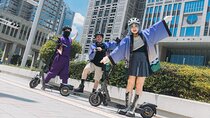 Tokyo Ninja E Scooter Tour with Local Guide NINJA GO RIDE
