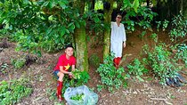 Authentic Vietnam Tea Tasting & Train Street Tour With Lunch 